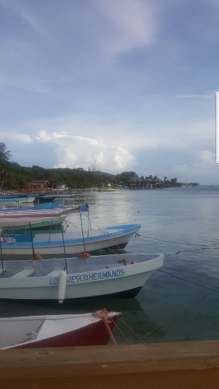 Boats in the Harbour in West End, Roatan